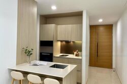 Duo Residences (D7), Apartment #489182521